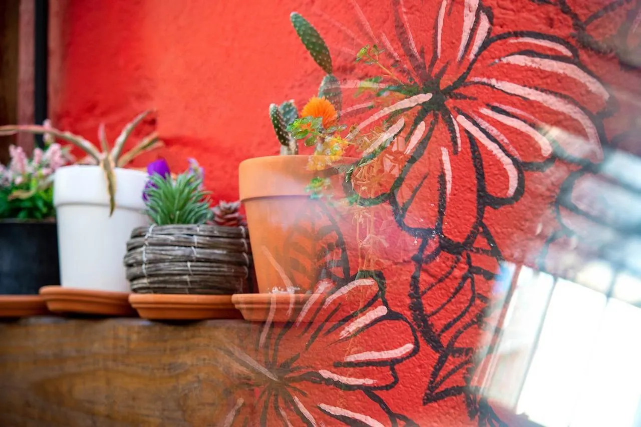 Tapia Haus 103 - Beach Vibes Within Walking Distance San Juan Hotel